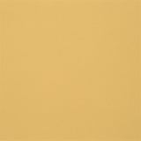 Designers Guild Tyg Farran Gold