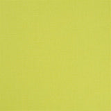 Designers Guild Tyg Manzoni Pistachio