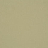 Designers Guild Tyg Manzoni Seagrass