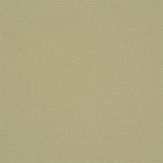 Designers Guild Tyg Manzoni Seagrass
