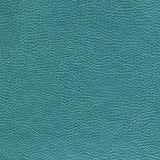Designers Guild Tyg Mojave Kingfisher