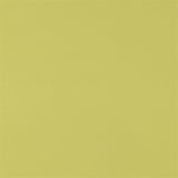 Designers Guild Tyg Piave Pistachio
