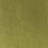 Designers Guild Tyg Sahara Moss