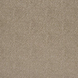 Designers Guild Tyg Sesia Cappuccino