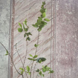 Designers Guild Tapet Foscari Fresco Scene 2 Tuberose