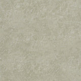 Designers Guild Tapet Chiazza Linen
