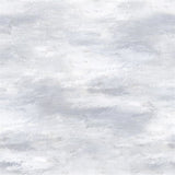 Designers Guild Tapet Cielo Cloud