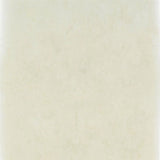 Designers Guild Tapet Ellora Champagne