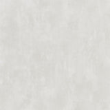 Designers Guild Tapet Parchment Silver Birch