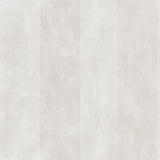 Designers Guild Tapet Parchment Stripe Silver Birch