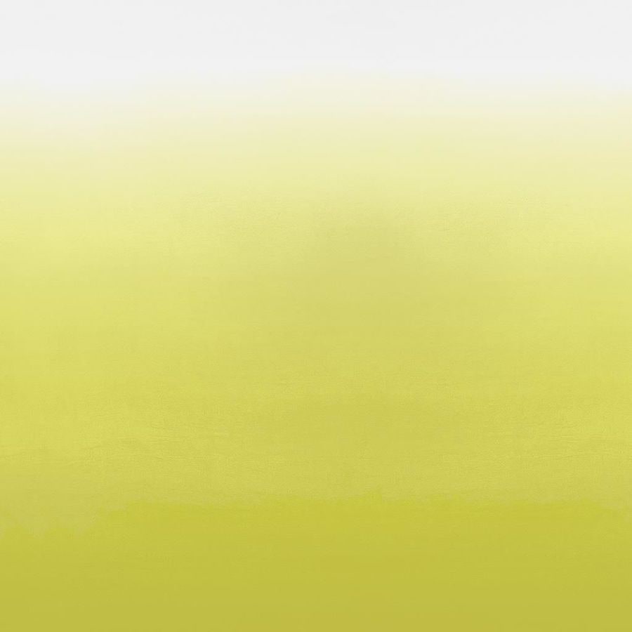 Designers Guild Tapet Saraille Acacia