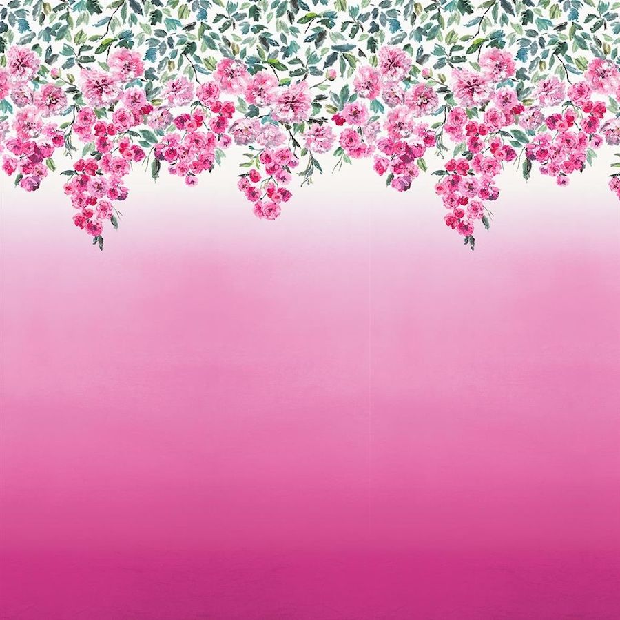 Trailing Rose Tapet