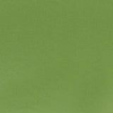 Designers Guild Tyg Tiber Forest