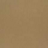 Designers Guild Tyg Tiber Reed