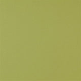 Designers Guild Tyg Piave Moss