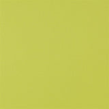 Designers Guild Tyg Piave Lime