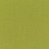 Designers Guild Tyg Valloire Lime