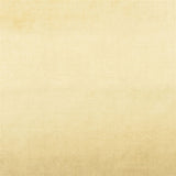 Designers Guild Tyg Vicenza Lemongrass