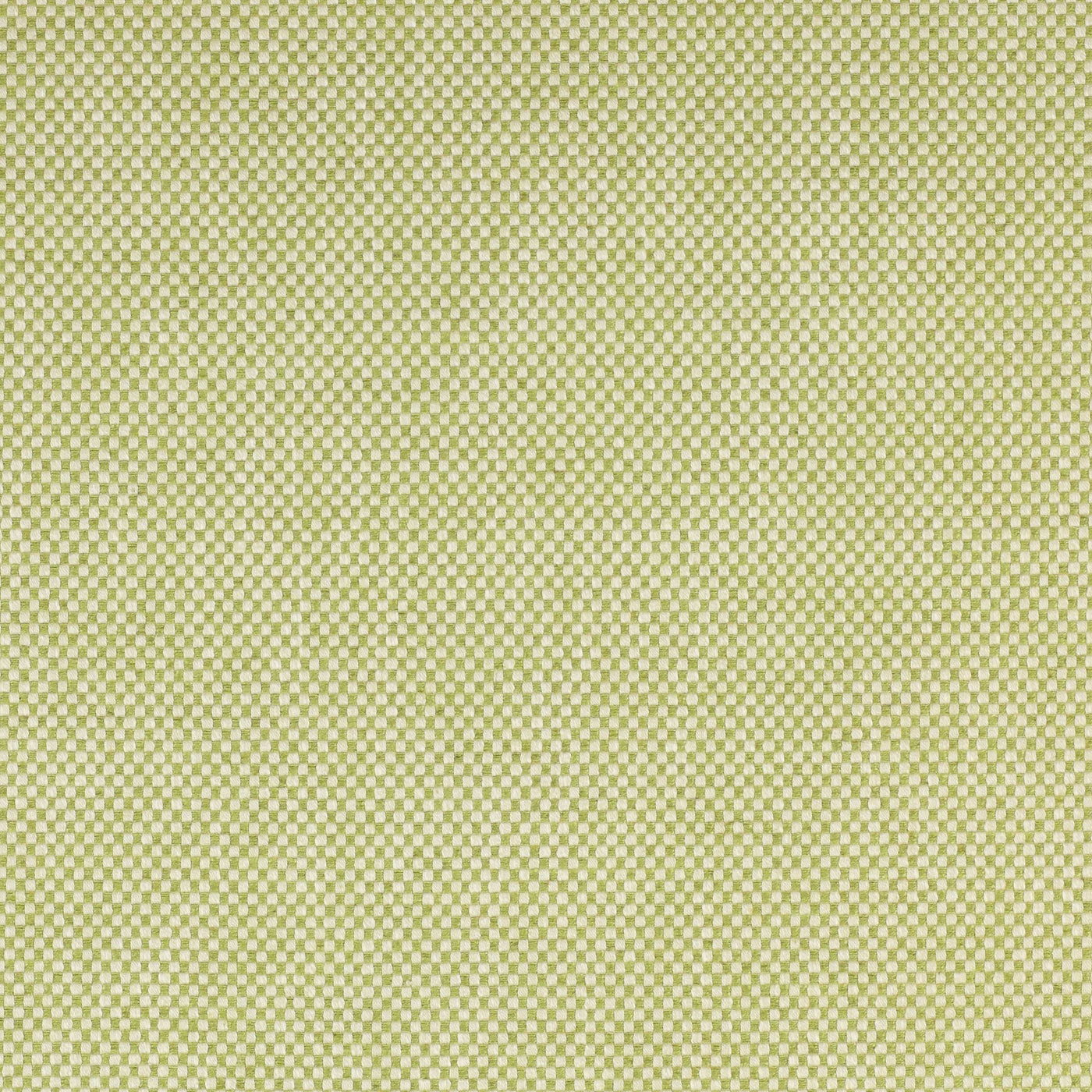 Colefax and Fowler Tyg Drummond Leaf