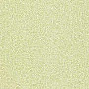 Morris and Co Tapet Standen Fennel