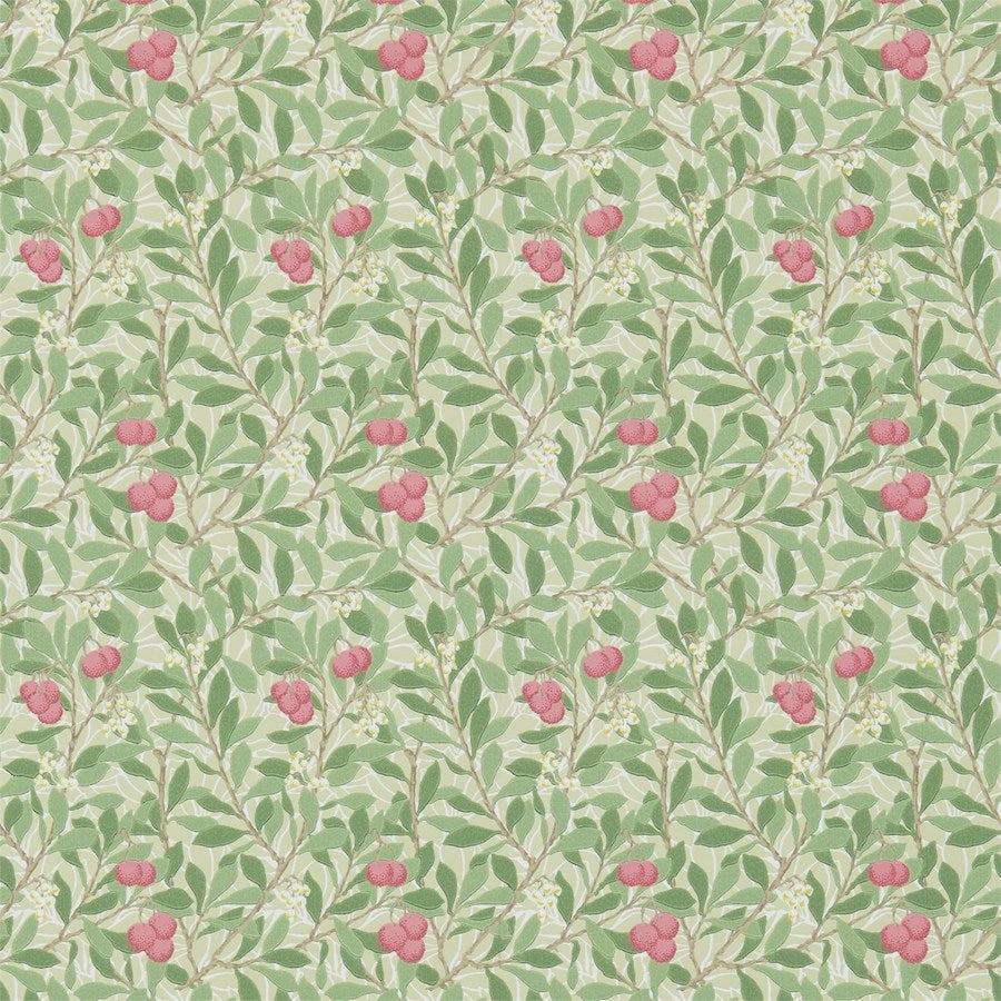 Morris and Co Tapet Arbutus Olive Pink