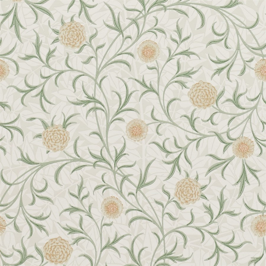 Morris and Co Tapet Scroll Thyme Pear
