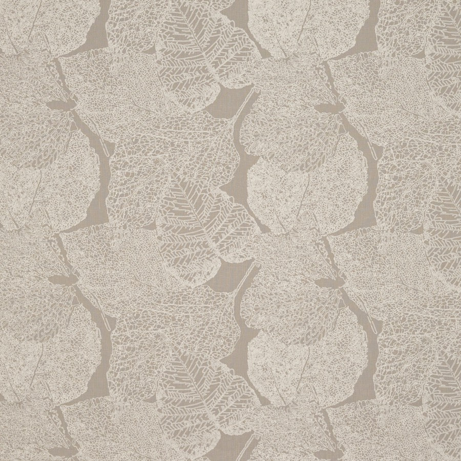 Rachel Tyg