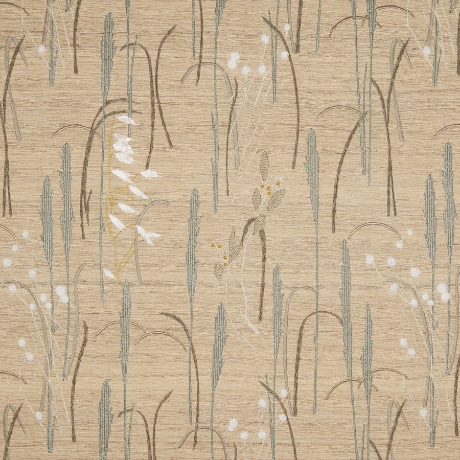 Herbier Tyg