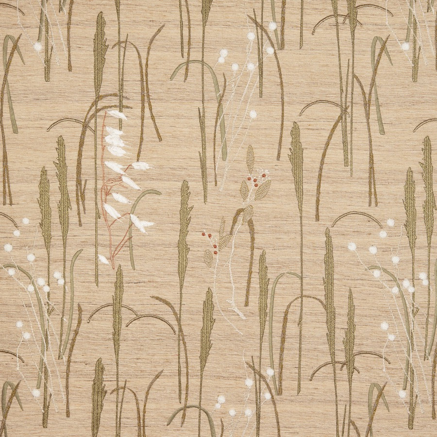 Herbier Tyg
