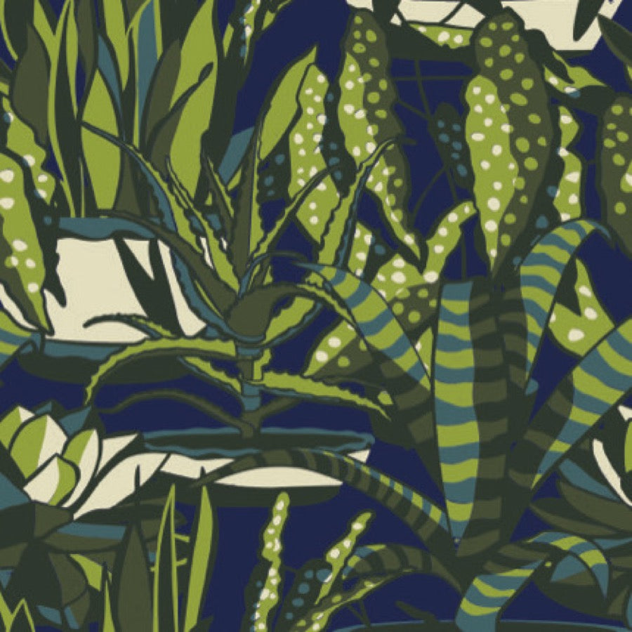 Agaves Tyg