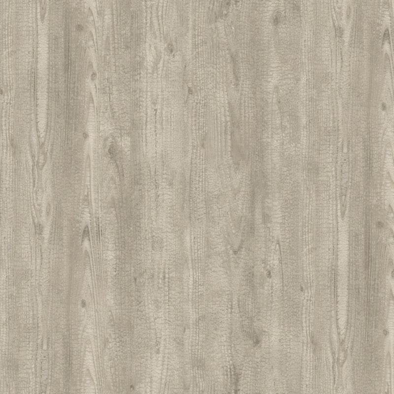 Bois Brule Gris Argente Tapet — Nobilis