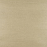 Sisal Tapet 134