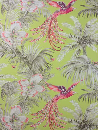 Osborne and Little Tapet Birds Of Paradise Lemon Coral