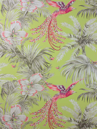 Ladda upp bild till gallerivisning, Osborne and Little Tapet Birds Of Paradise Lemon Coral
