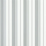 Ralph Lauren Home Tapet Aiden Stripe Black Grey