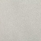 Romo Tapet Tilla Silver