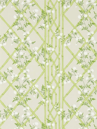 Load image into Gallery viewer, Zoffany Tapet Jasmine Lattice Spring Leaf
