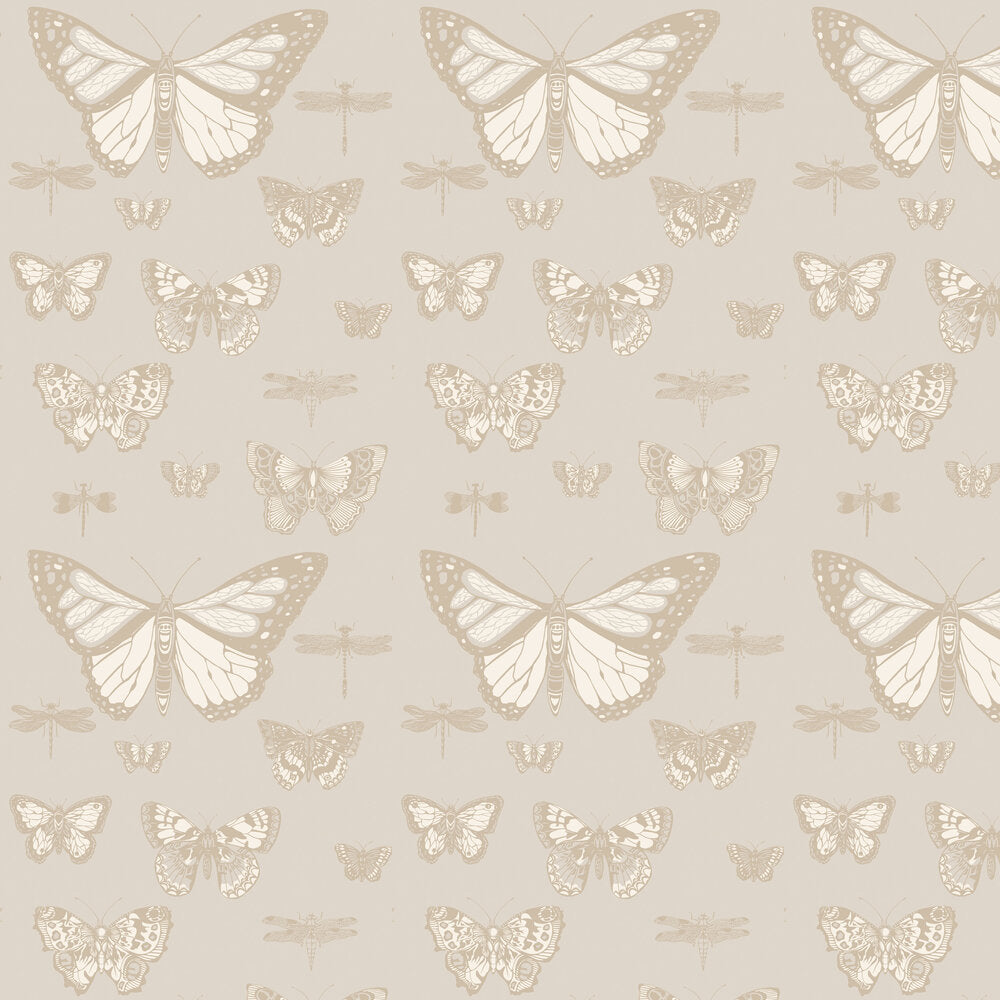 Cole and Son Tapet Butterflies & Dragonflies Grey