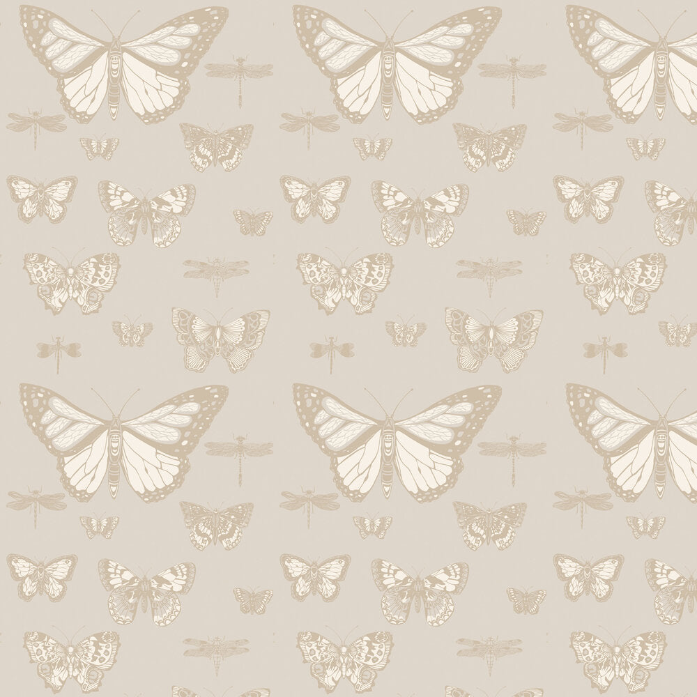 Cole and Son Tapet Butterflies & Dragonflies Grey