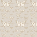 Cole and Son Tapet Butterflies & Dragonflies Grey