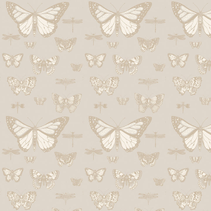Cole and Son Tapet Butterflies & Dragonflies Grey