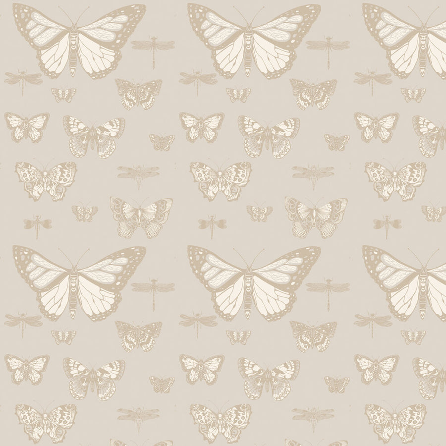 Butterflies & Dragonflies Tapet — Cole & Son