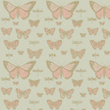 Cole and Son Tapet Butterflies & Dragonflies Pink & Olive