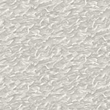 Cole and Son Tapet Columbus Black & White