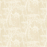 Cole and Son Tapet Cow Parsley 49