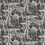 Cole and Son Tapet Cow Parsley 46