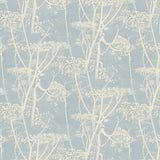 Cole and Son Tapet Cow Parsley 50