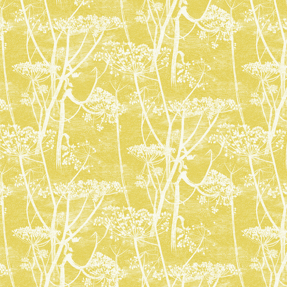 Cole and Son Tapet Cow Parsley 51