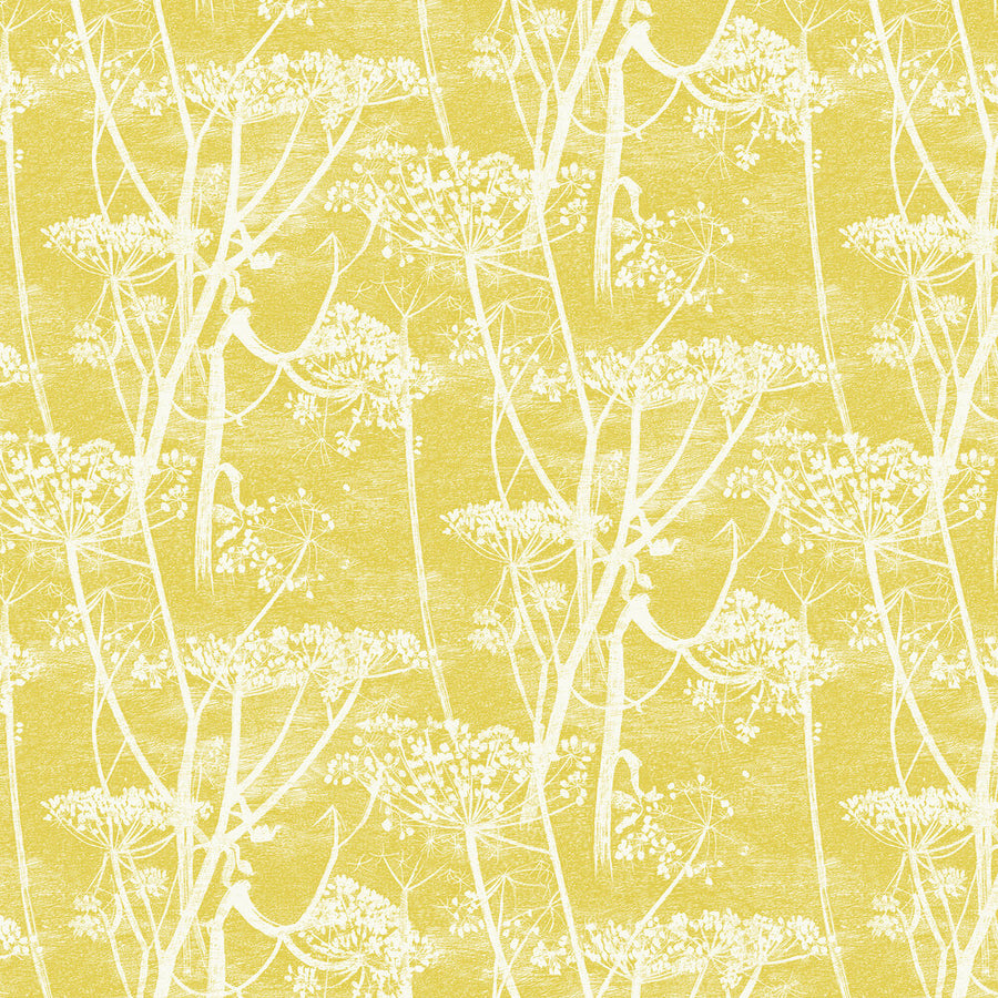 Cow Parsley Tapet — Cole & Son