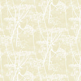 Cole and Son Tapet Cow Parsley 53